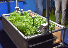 The new Sigrow innovation.      